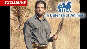 Trump's Sons RIPPED By Animal Org. -- You're 'PITIFUL' for Mutilating Elephant