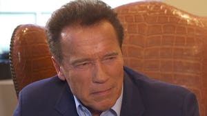Arnold Schwarzenegger & Maria Shriver Still Not Divorced