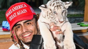 Lil Pump Visits Doc Antle's Zoo, Hangs with Tigers After Stumping for Trump