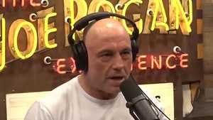 082824-joe-rogan-primary