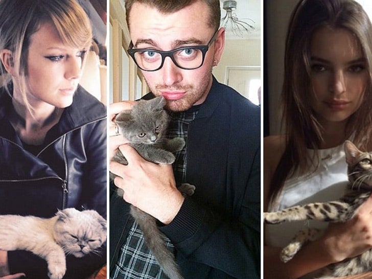 Celebrity Cat Lovers