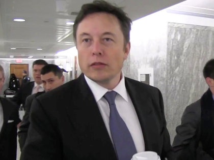 0319 elon musk tmz