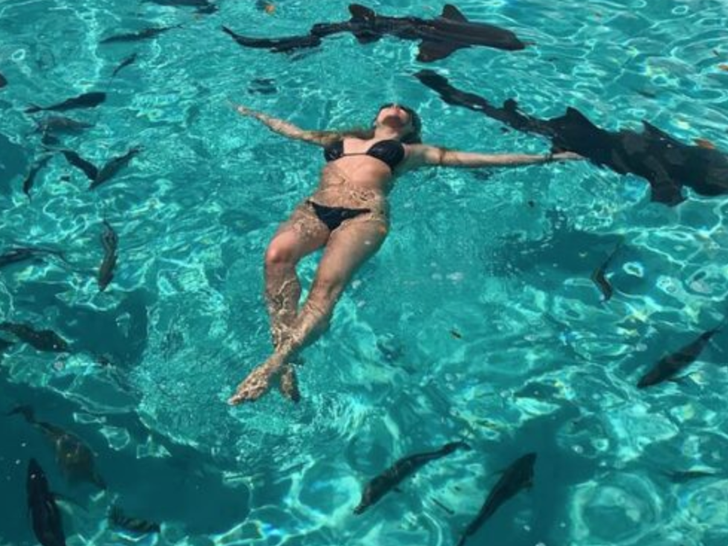 Stars Swimming With Sharks