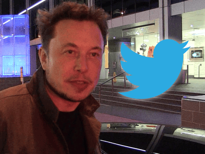 elon musk twitter