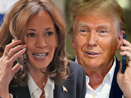 kamala harris donald trump main