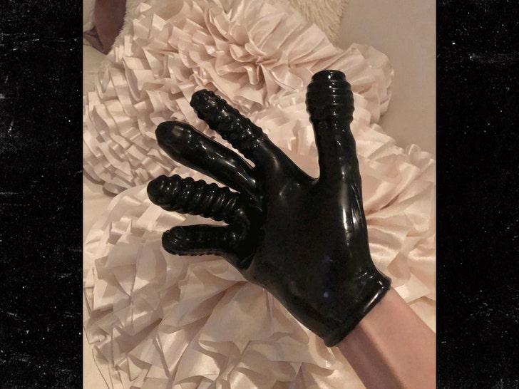 jeffrey epstein glove House Oversight Committee Democrats