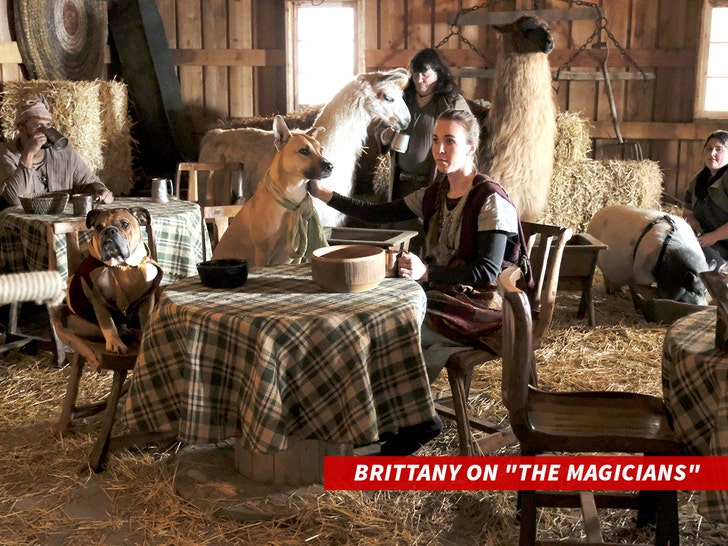 ブリタニー・キュラン・ザ・マジシャン・サブ・エベレット・コレクション-1