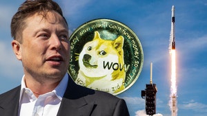 SpaceX Sending Dogecoin-Funded Satellite to the Moon in 2022