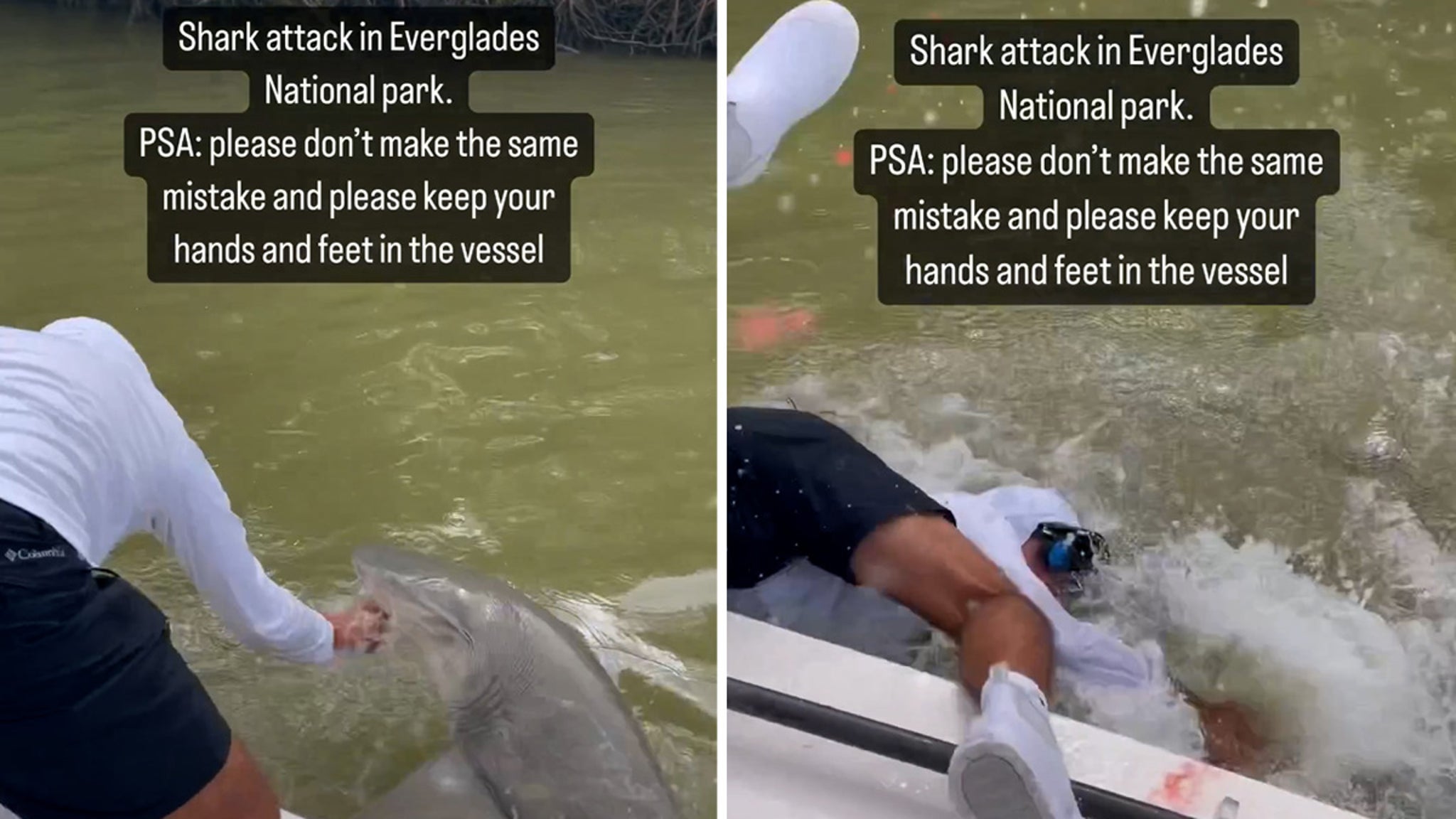 Seorang pria digigit dan ditarik dari perahu oleh hiu di Florida