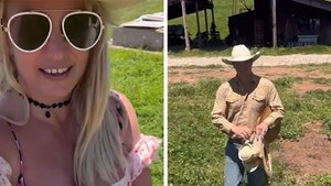 Britney Spears Denies Having 'Breakdown,' Posts Bizarre Horse-Riding Video