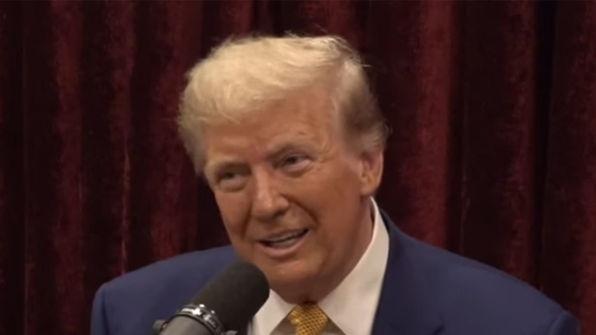 Donald Trump Seeks Joe Rogan's Support During Podcast Appearance thumbnail