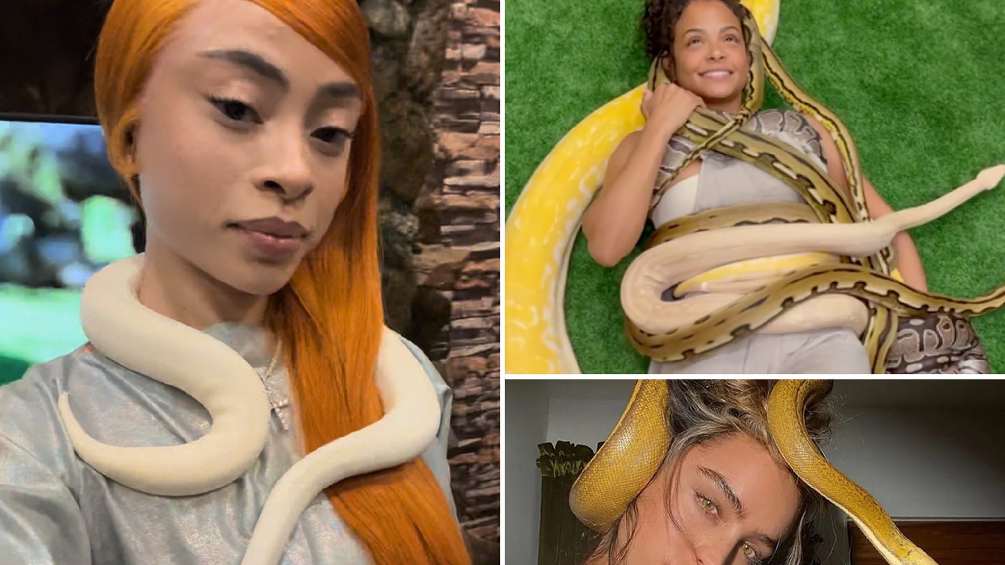 Slithering Stars With Snakes for World Snake Day!