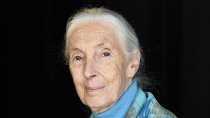 Jane Goodall's seen while posing for a photo. She's wearing a patterned jacket on top of a blue turtleneck sweater.