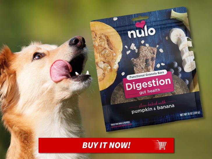 Nulo-Functional-Granola-Bars-MAIN