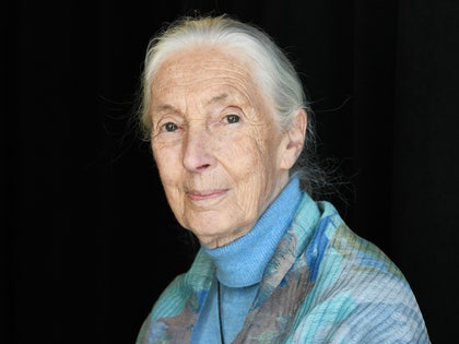Jane Goodall's seen while posing for a photo. She's wearing a patterned jacket on top of a blue turtleneck sweater.