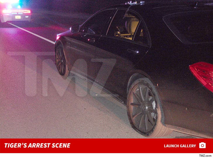 Tiger Woods Police Arrest Photos Show Car Damage