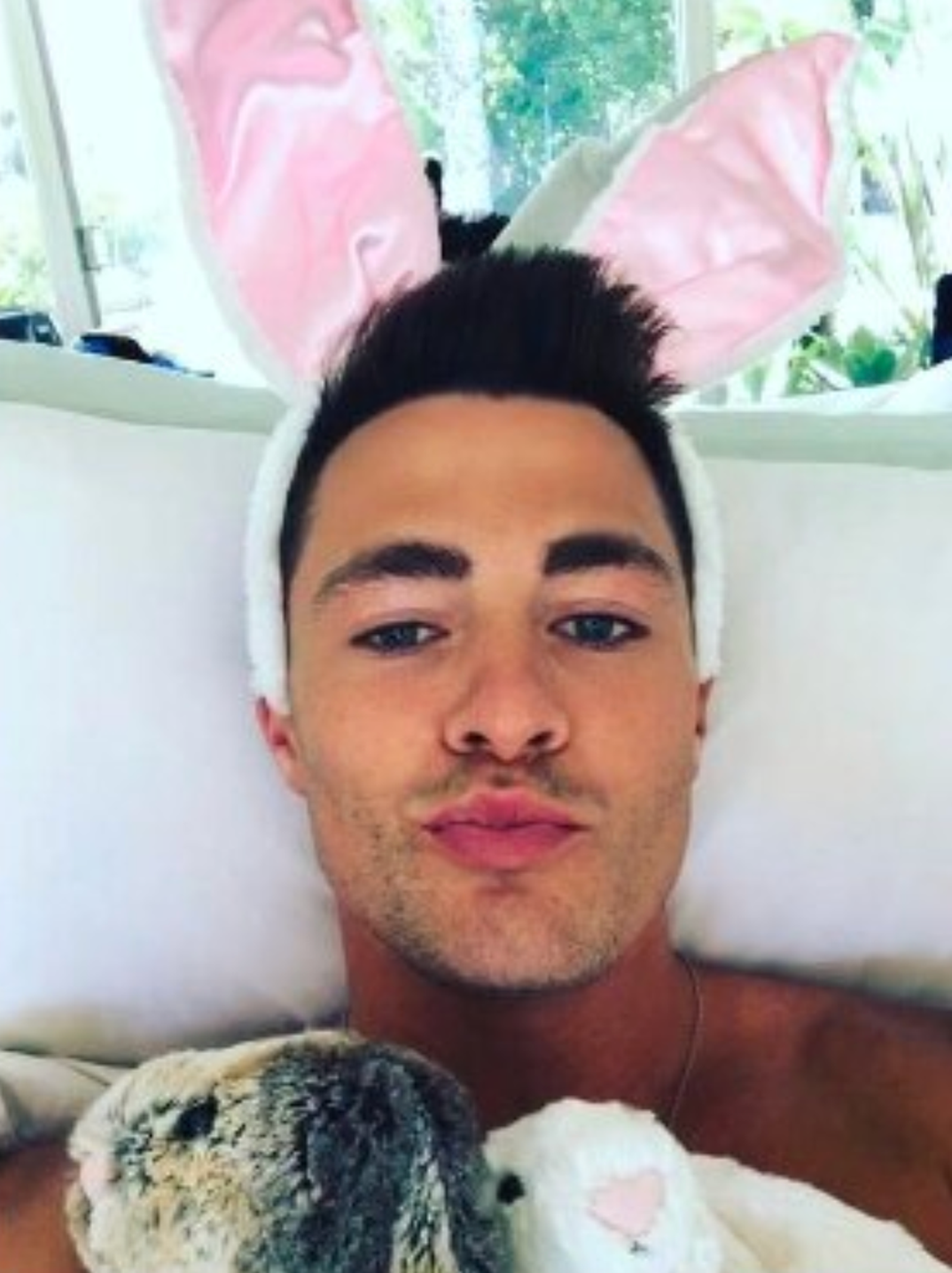 Colton Haynes