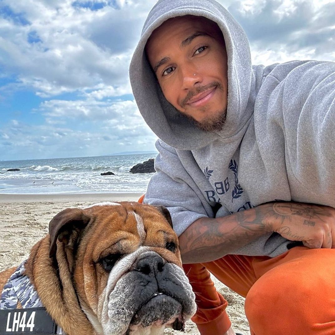 Lewis Hamilton And His Dog Roscoe 5