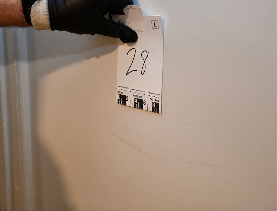 Bryan Kohberger Graphic Crime Scene Photos 10