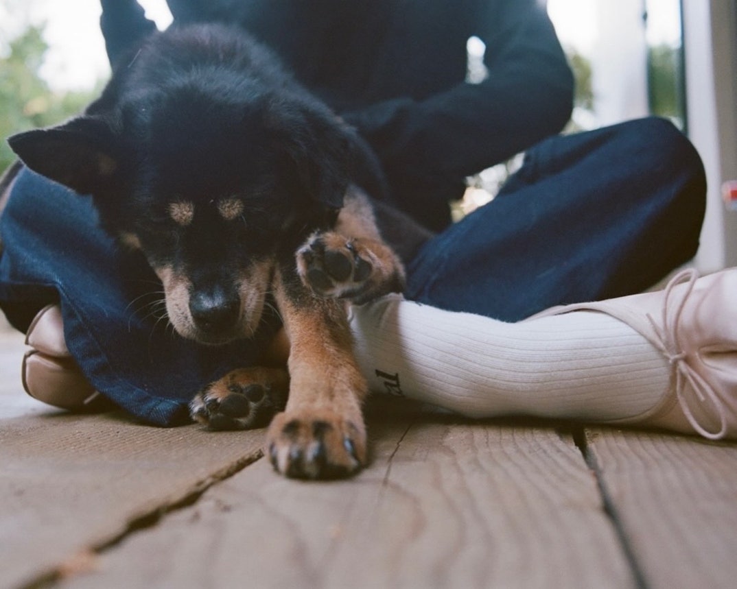 Remembering Ariana Grande Dog Coco 4