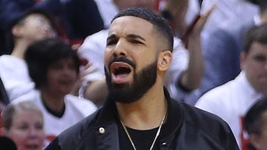 NBA Warns Drake Over 'Bad Language' at Games