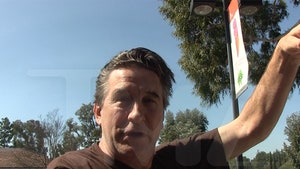 Billy Baldwin Tones Down Feud with Sharon Stone, Talks Would-Be Book