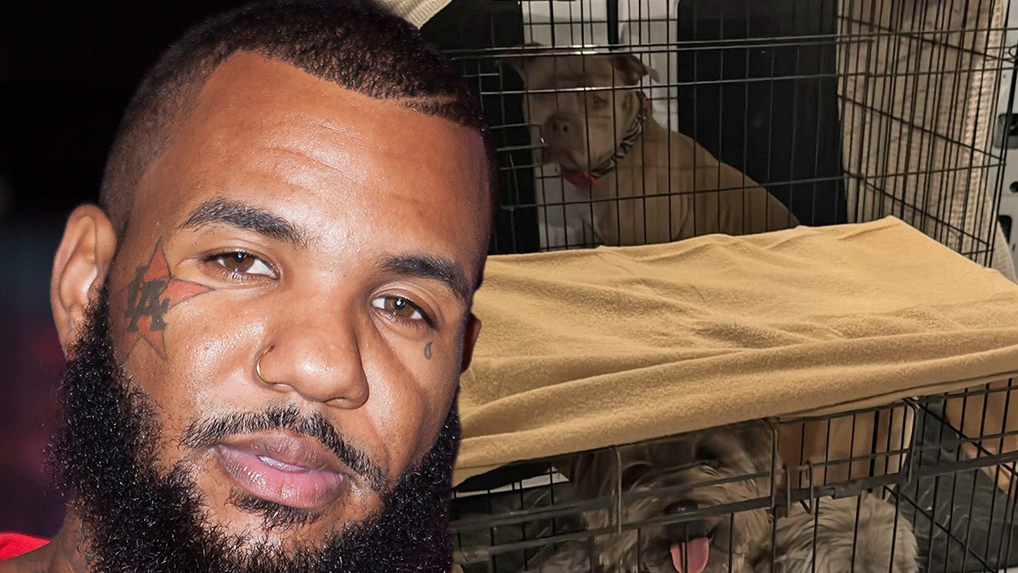 The Game Helping Reunite Animals With Owners During L.A. Fires