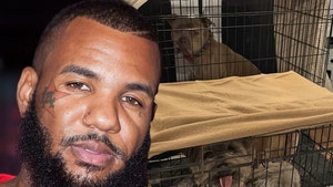 The Game x Cleo's Critter Care