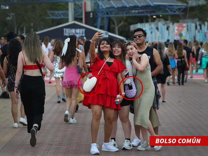 Bolso común taylor swift concert