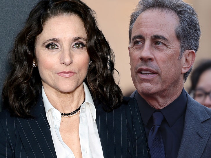 Julia Louis-Dreyfus Calls Jerry Seinfeld's P.C. Stance A 'Red Flag'