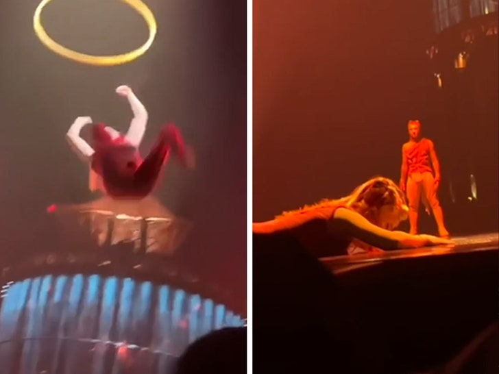 Cirque du Soleil Artist Falls Hard on Video in Aerial Hoop Accident