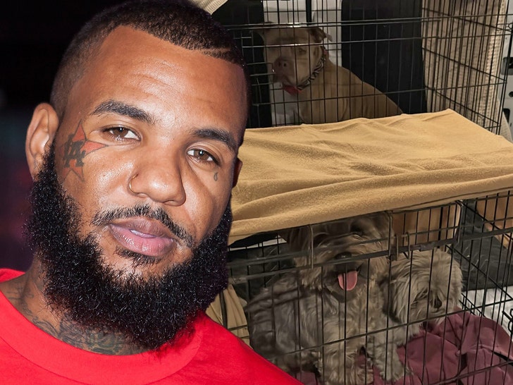 The Game x Cleo's Critter Care