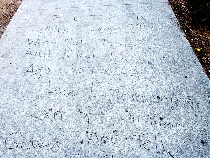 sidewalk-anti-semetic-pavement-writing-tmz-2