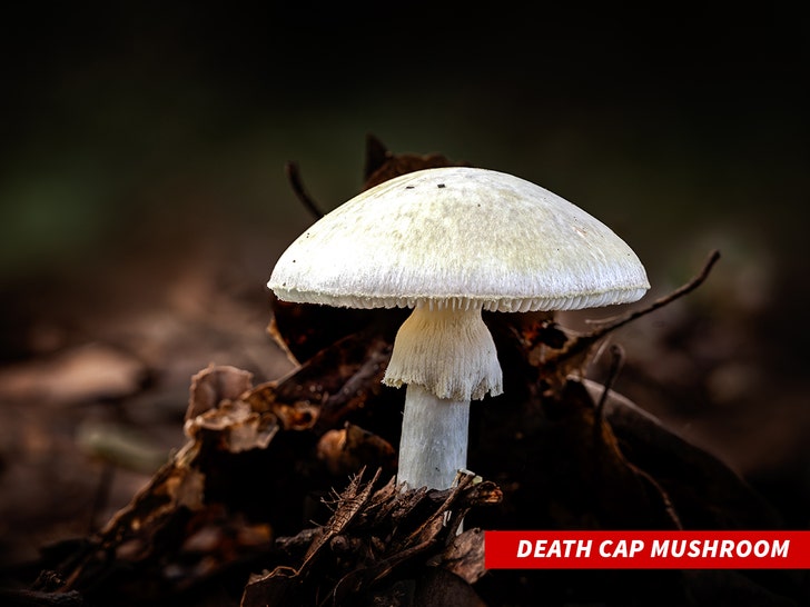 A cobertura da morte é grossa 1