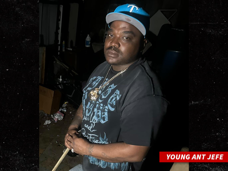 sub young ant jefe insta