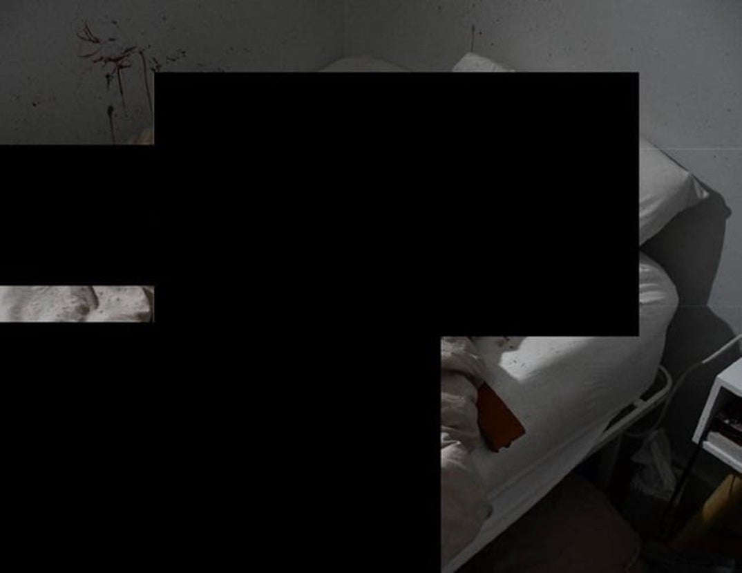 More Kohberger Idaho Murder House Scene Pics 2