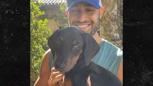 Sam Asghari Gets Britney a New Doberman Puppy for Protection