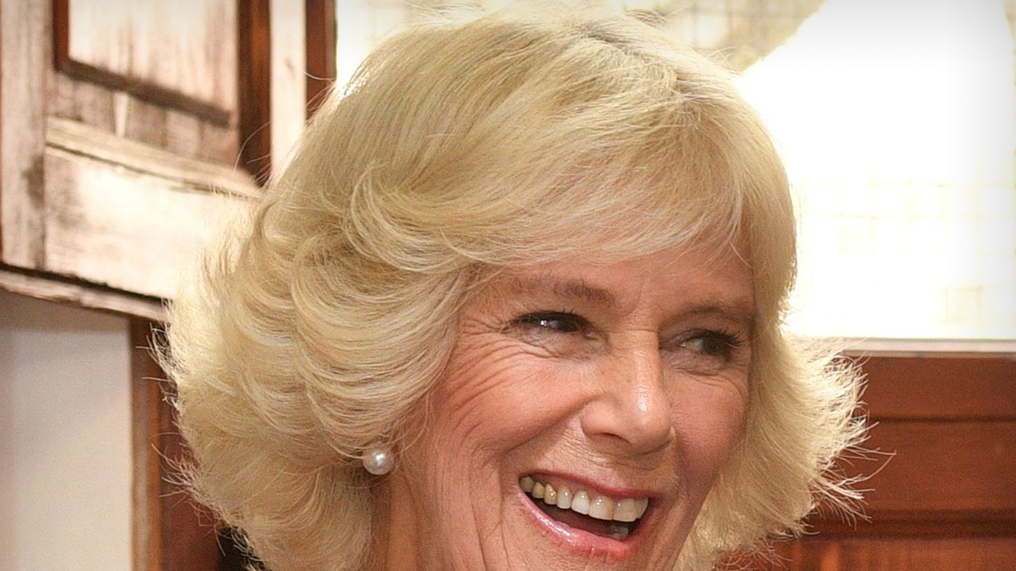 Camilla Parker Bowles Gets Real About Charles in New Vogue Interview thumbnail