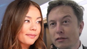 Elon Musk's Alleged Mistress' Lawyer Says Story is a Lie