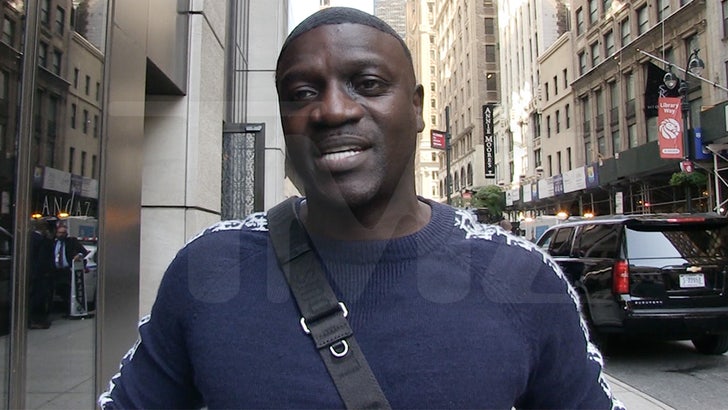 Akon Says He and Michael Jackson Planned To Open Music Schools in Africa.jpg