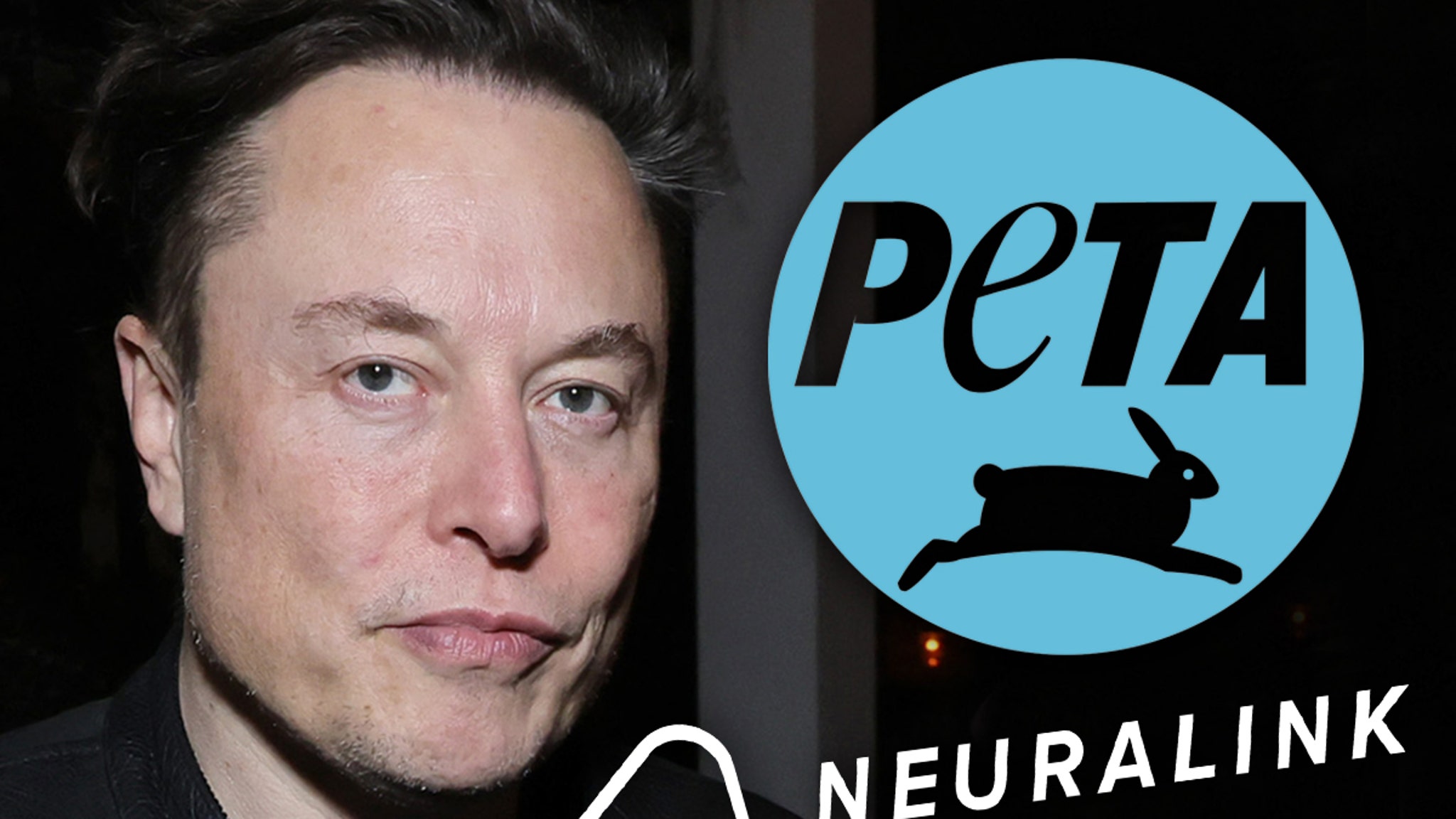 PETA Wants Elon Musk’s Neuralink Animal Lab Closed, Applying Twitter Pressure