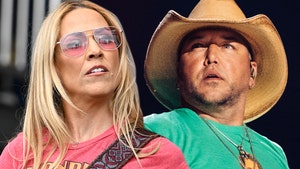 Sheryl Crow Drags Jason Aldean, Says 'Lame' New Song Promotes Violence
