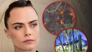 Cara Delevingne's Los Angeles Home Catches on Fire, Massive Response