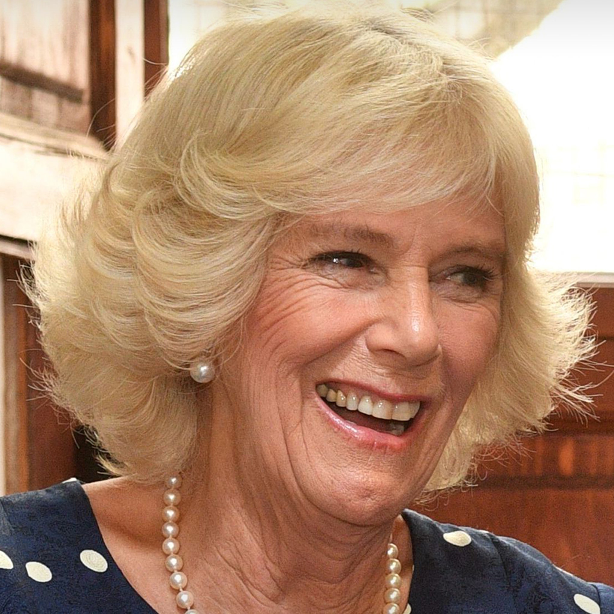 Camilla Parker Bowles Education Education Supplies Camilla Parker Bowles Education Education Supplies