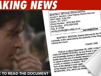 Charlie Sheen charged: Click to view document