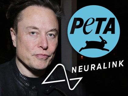 Elon Musk and Neuralink