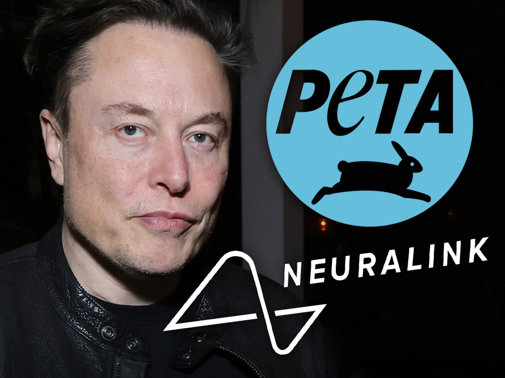 PETA Wants Elon Musk's Neuralink Animal Lab Closed, Applying Twitter  Pressure