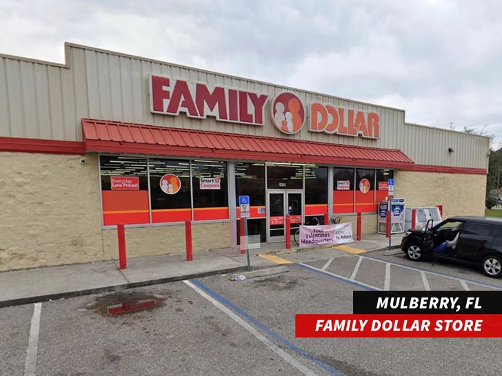 family dollar store florida