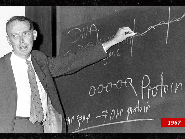 james watson sub getty swipe 3