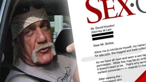 Hulk Hogan -- HUGE Offer for Sex Tape